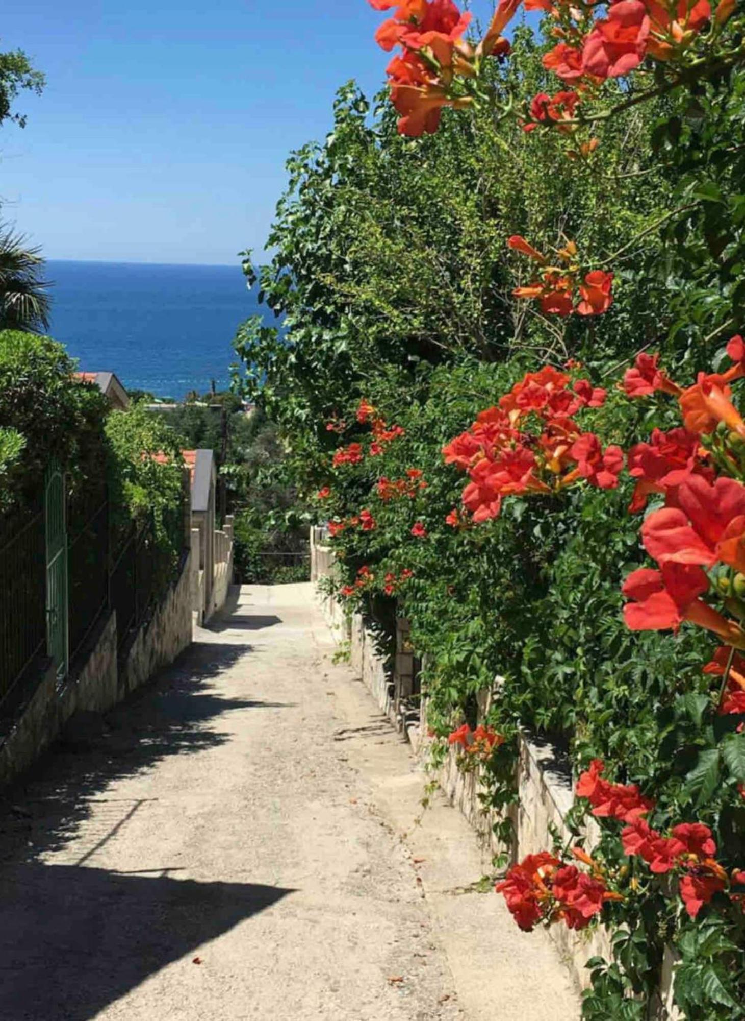 Bay View Apartments Petrovac ภายนอก รูปภาพ
